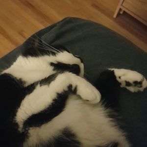 Meet your Posher, Becca